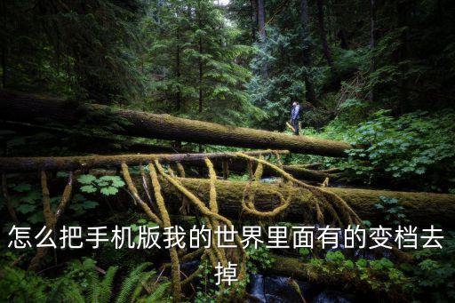 怎么把手机版我的世界里面有的变档去掉