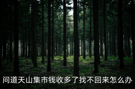 问道天山集市钱收多了找不回来怎么办