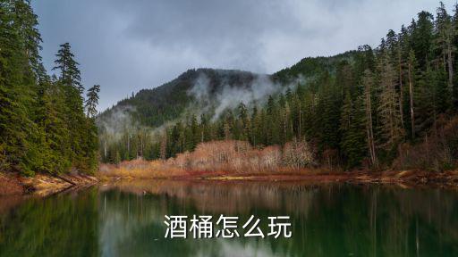 酒桶手游怎么打伤害才高，怎么打酒桶