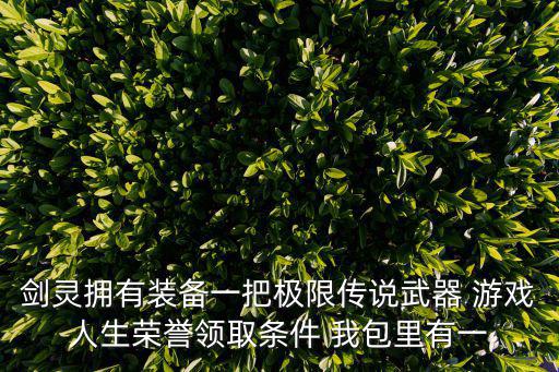 剑灵拥有装备一把极限传说武器 游戏人生荣誉领取条件 我包里有一