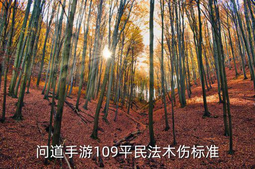 问道手游109平民法木伤标准