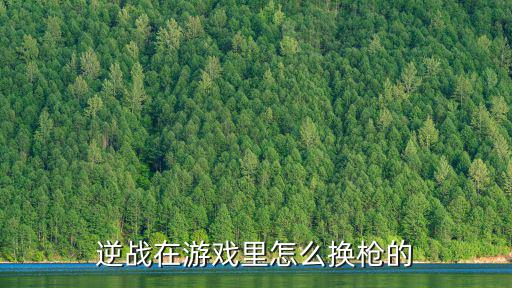 逆战手游塔防怎么切换手枪，逆战塔防模式怎么切狙击枪