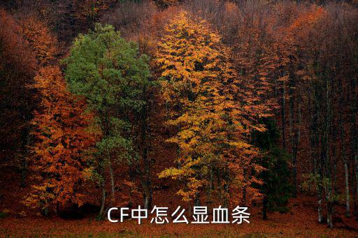 cf手游准心怎么显示血条，新版CF怎么显示血条