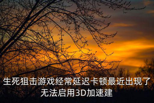 生死狙击游戏经常延迟卡顿最近出现了无法启用3D加速建