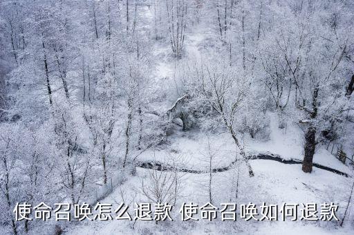 手游使命战争怎么退款，使命召唤战区2购买了再退款解锁的枪还会在吗