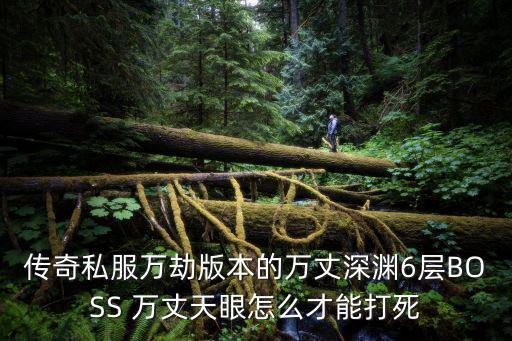 传奇私服万劫版本的万丈深渊6层BOSS 万丈天眼怎么才能打死