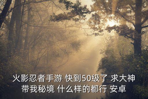 火影忍者手游 快到50级了 求大神带我秘境 什么样的都行 安卓