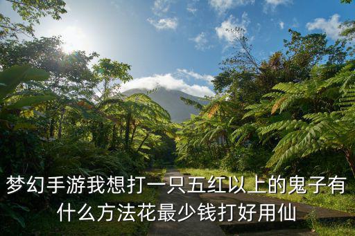 梦幻手游我想打一只五红以上的鬼子有什么方法花最少钱打好用仙