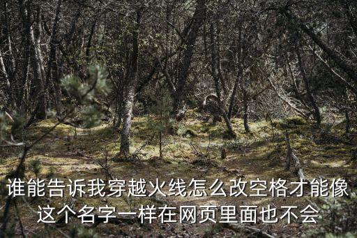 谁能告诉我穿越火线怎么改空格才能像这个名字一样在网页里面也不会
