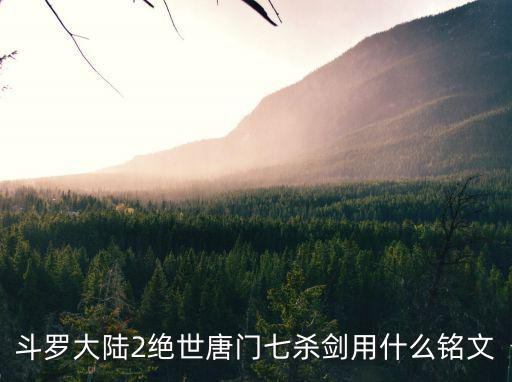 绝世唐门手游七杀剑武魂怎么弄，斗罗大陆2绝世唐门手游怎么觉醒七杀剑