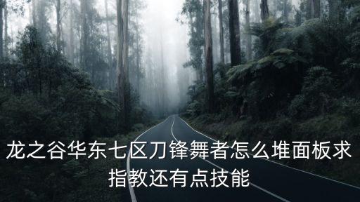 手游刀锋舞者怎么叠被动，龙之谷华东七区刀锋舞者怎么堆面板求指教还有点技能