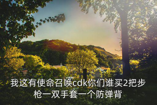 我这有使命召唤cdk你们谁买2把步枪一双手套一个防弹背