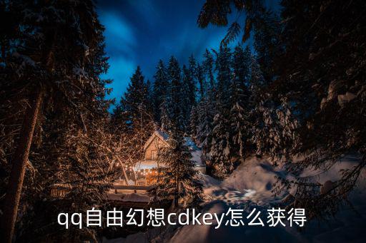 cdkey自由幻想手游怎么获得，CDkey 自由幻想 怎么弄