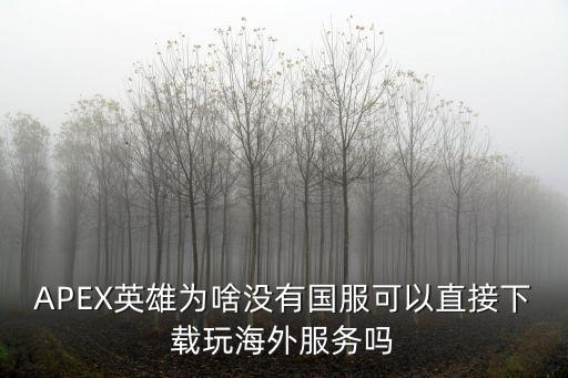 APEX英雄为啥没有国服可以直接下载玩海外服务吗