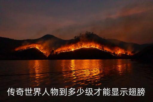 传奇世界人物到多少级才能显示翅膀