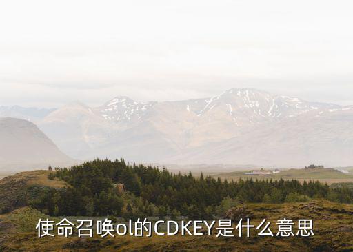 使命召唤ol的CDKEY是什么意思