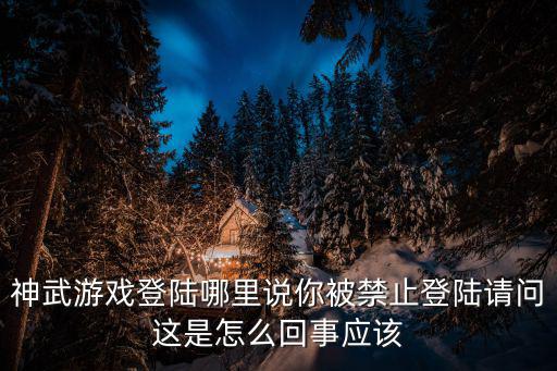 神武游戏登陆哪里说你被禁止登陆请问这是怎么回事应该
