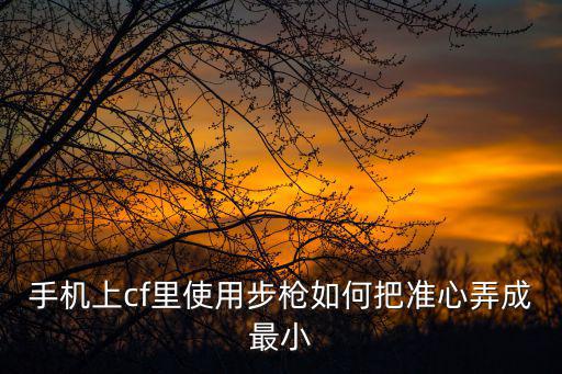 手机上cf里使用步枪如何把准心弄成最小