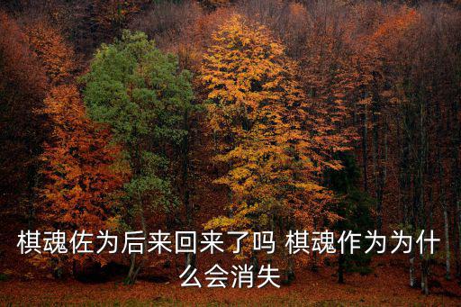 方舟手游棋魂怎么样消失，棋魂佐为后来回来了吗 棋魂作为为什么会消失