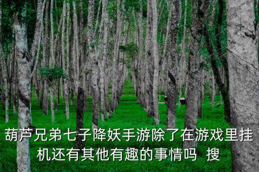 葫芦兄弟七子降妖手游除了在游戏里挂机还有其他有趣的事情吗 搜