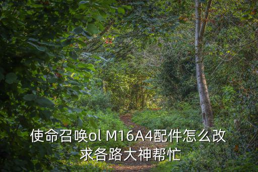 使命召唤ol M16A4配件怎么改 求各路大神帮忙