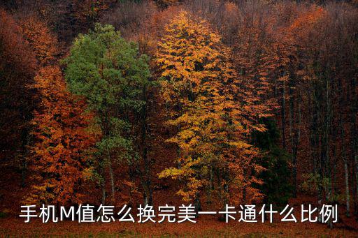 手机M值怎么换完美一卡通什么比例