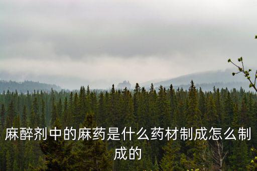 麻醉剂中的麻药是什么药材制成怎么制成的