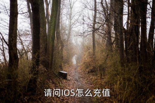 方舟ios手游怎么充值，请问IOS怎么充值