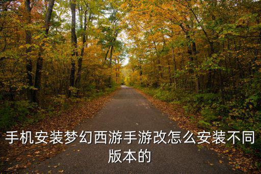 手机安装梦幻西游手游改怎么安装不同版本的