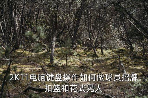 2K11电脑键盘操作如何做球员招牌扣篮和花式晃人