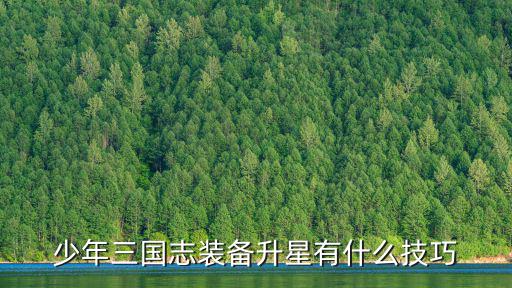 少年三国志装备升星有什么技巧