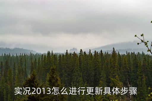 实况2013怎么进行更新具体步骤