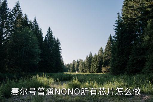 赛尔号普通NONO所有芯片怎么做