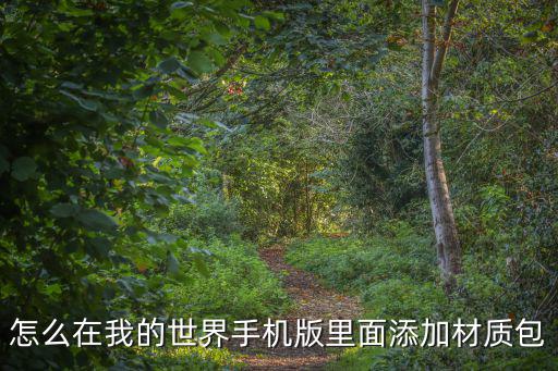 怎么在我的世界手机版里面添加材质包