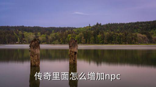 传奇里面怎么增加npc