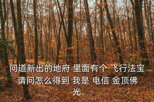问道新出的地府 里面有个 飞行法宝 请问怎么得到 我是 电信 金顶佛光