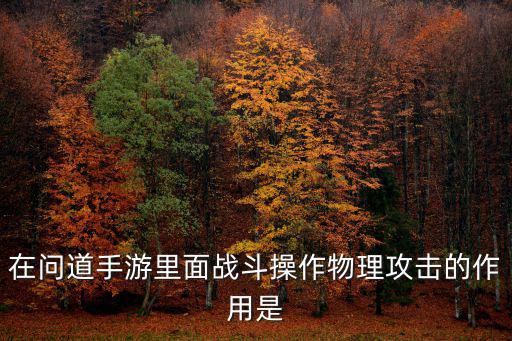 在问道手游里面战斗操作物理攻击的作用是