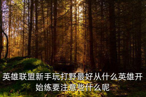 英雄联盟新手玩打野最好从什么英雄开始练要注意些什么呢