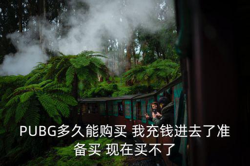 PUBG多久能购买 我充钱进去了准备买 现在买不了