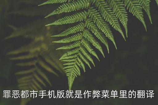 手游罪恶都市秘籍怎么翻译，侠盗猎车罪恶都市手游版秘籍怎么用