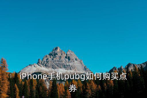 iPhone手机pubg如何购买点券