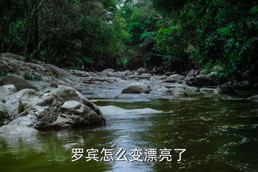 罗宾怎么变漂亮了