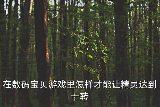在数码宝贝游戏里怎样才能让精灵达到一转