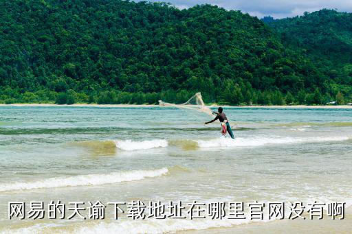 网易的天谕下载地址在哪里官网没有啊