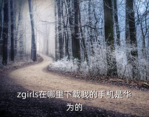 zgirls在哪里下载我的手机是华为的