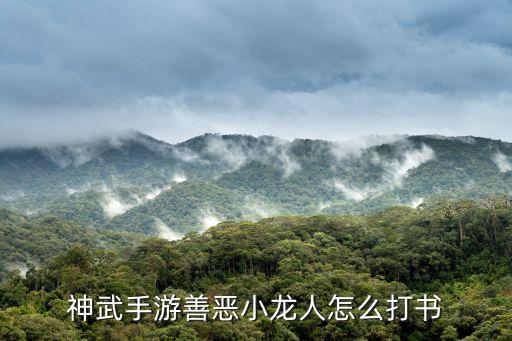 神武手游善恶小龙人怎么打书