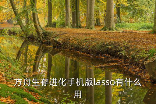 方舟生存进化手机版lasso有什么用
