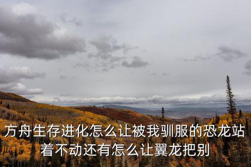 方舟手游驯服的龙怎么回血，方舟生存进化怎么驯龙我把龙打晕后不知道怎么操作了晕