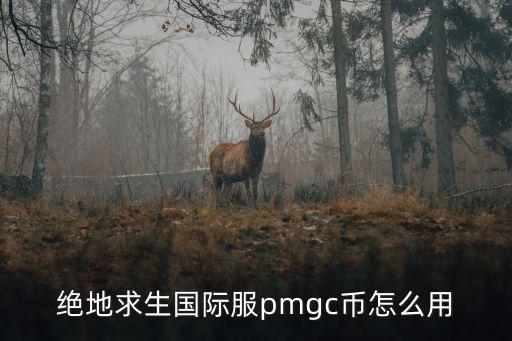 手游国际服绝地求生bp怎么用，绝地求生国际服pmgc币怎么用