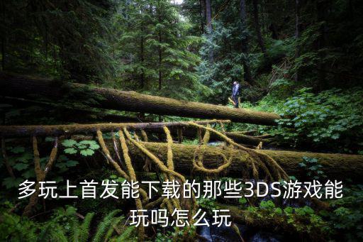 多玩上首发能下载的那些3DS游戏能玩吗怎么玩